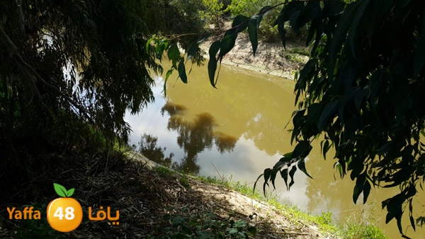 roben tabee3ar (9).JPG